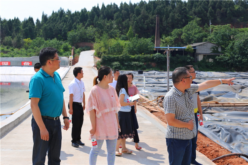 集團第一檢查組檢查杰陽排水公司、固廢處置公司安全防汛和環保達標各項工作3_副本